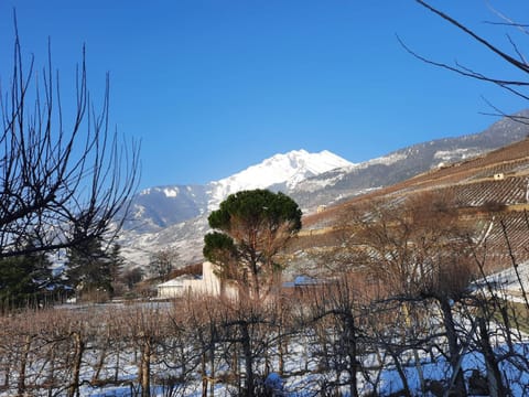 Les Hirondelles à Bramois-Sion Apartment in Sion