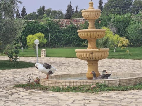 Hacienda Bayada House in Sousse Governorate, Tunisia