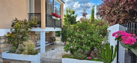 Spring, Garden, Garden view