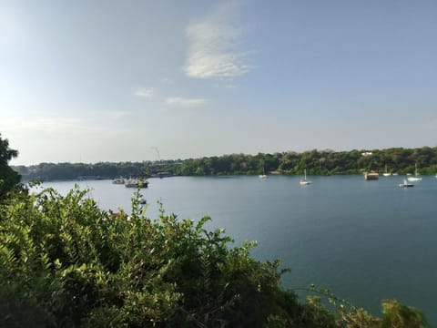 Natural landscape, Sea view