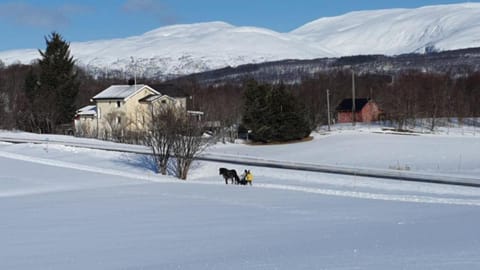 Marisletta farm - house by the sea House in Tromso