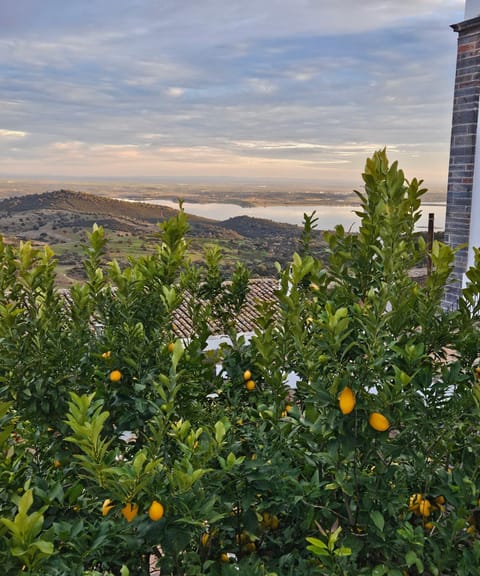 Nearby landmark, Natural landscape, River view