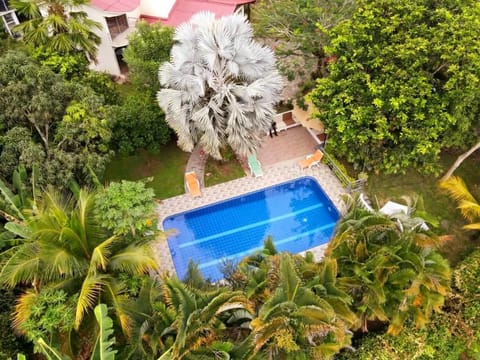 Day, Natural landscape, Garden view, Pool view