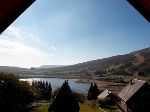 Chalet atypique près des pistes, 9 pers., sculptures uniques - FR-1-814-49 Chalet in Besse-et-Saint-Anastaise