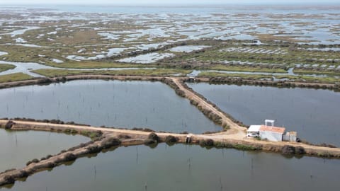 Herdade dos Salgados do Fialho Country House in Faro