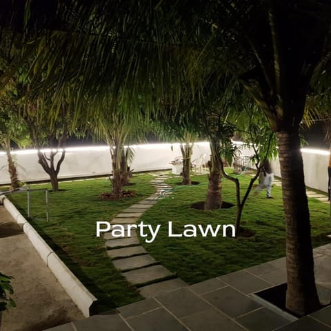 Night, Garden, Garden view