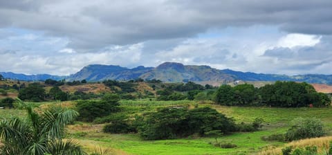 Natural landscape, Garden