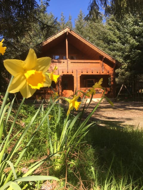 Property building, Spring, Natural landscape