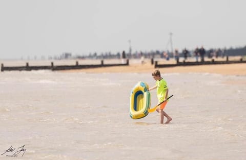 Natural landscape, Activities, Beach