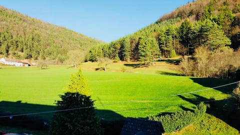 Natural landscape, Mountain view