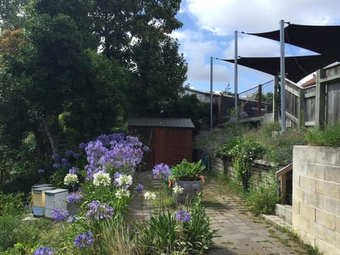 Property building, Garden, Garden view