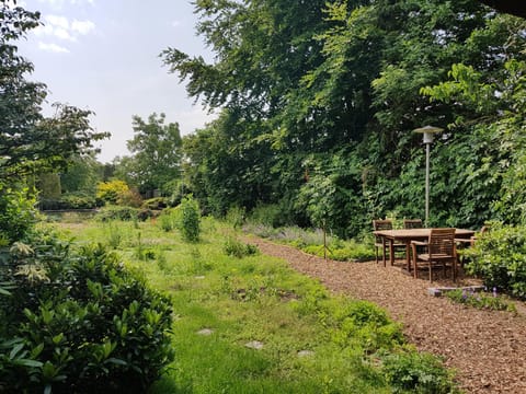 Natural landscape, Garden, Dining area