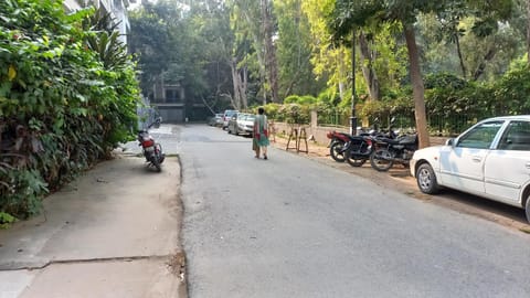 People, Natural landscape, Street view