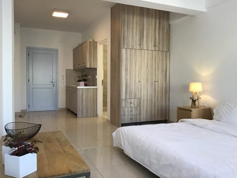 Aria Lito Mansion Hotel in Thera