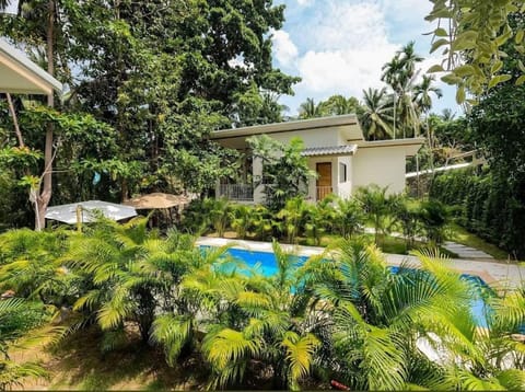 Garden, Garden view, Pool view, Swimming pool