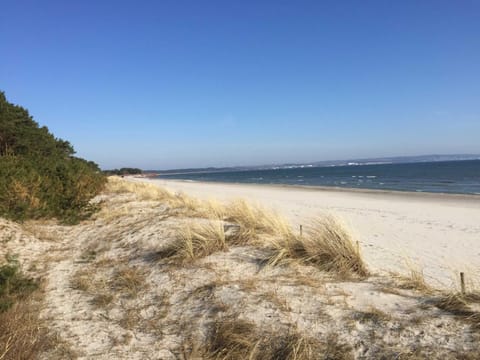 Natural landscape, Beach