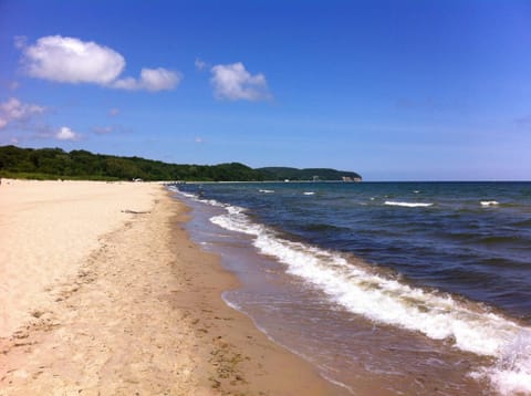 Neighbourhood, Natural landscape, Beach