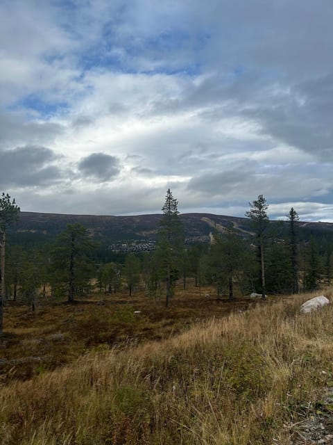 Newly built cabin with stunning views on Norefjell House in Viken, Norway