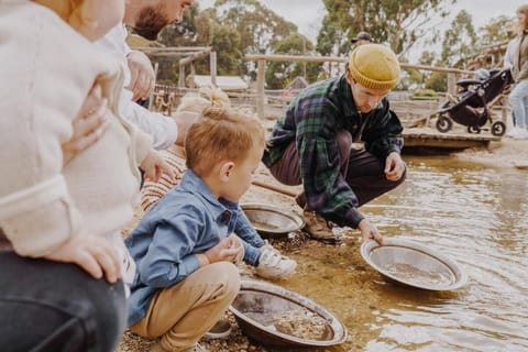 The Canadian Escape Ballarat - Up to 10 guests House in Ballarat