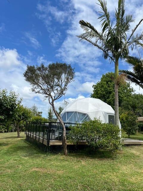 Twinkle Orchard Camp Villa in Auckland