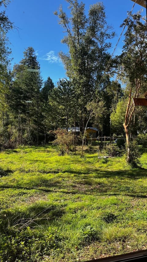 Exclusiva cabaña Lican Ray en bosque House in Los Ríos, Chile