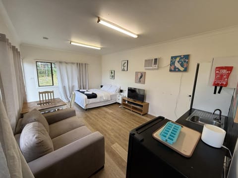 Bed, TV and multimedia, Living room, Photo of the whole room, Seating area, Bedroom