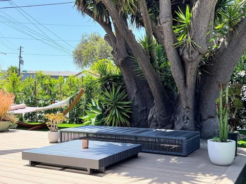 Patio, Day, Garden, Garden view