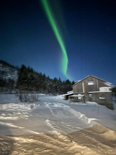 Night, Natural landscape, Winter