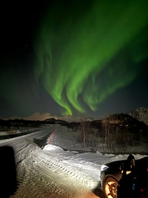 Night, Natural landscape, Winter, View (from property/room)