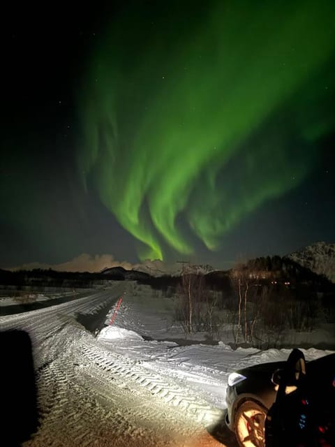 Night, Natural landscape, Winter