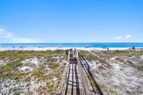 Beach Blessing New Magnificent Gulf Front Home Private Pool House in Lower Grand Lagoon