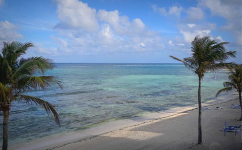 Natural landscape, View (from property/room), Beach, Sea view