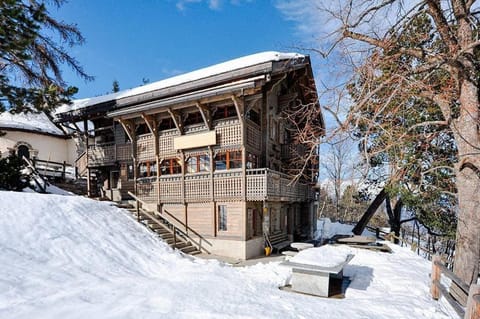 Property building, Day, Winter