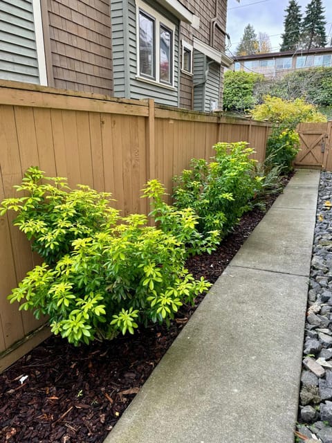 Queen Bea-Seattle-Queen Anne-Basement-Level Apartment in Fremont