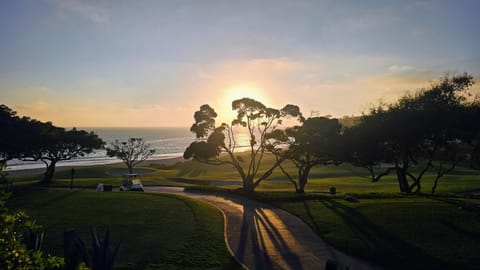 Natural landscape, View (from property/room), Beach, Beach, Landmark view