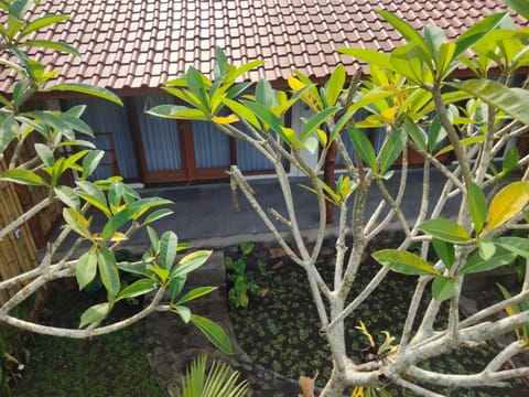 Meera house and stay Vacation rental in Pekutatan