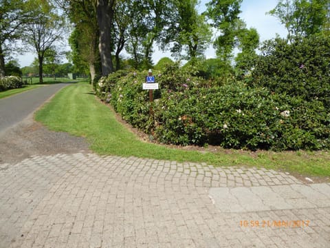 Property logo or sign, Street view