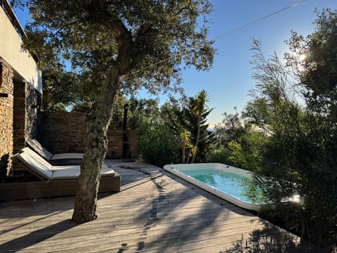 Day, Natural landscape, Garden, Swimming pool, sunbed