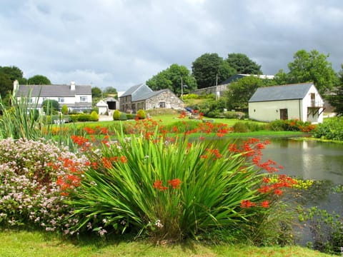 Property building, Day, Garden