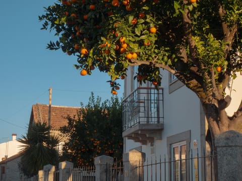 Casa do Poço - Serra da Estrela Farm Stay in Coimbra District, Portugal