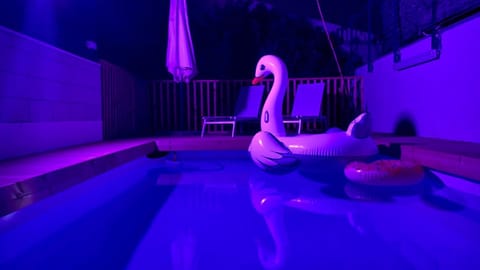 Night, People, Pool view, Swimming pool, group of guests, sunbed