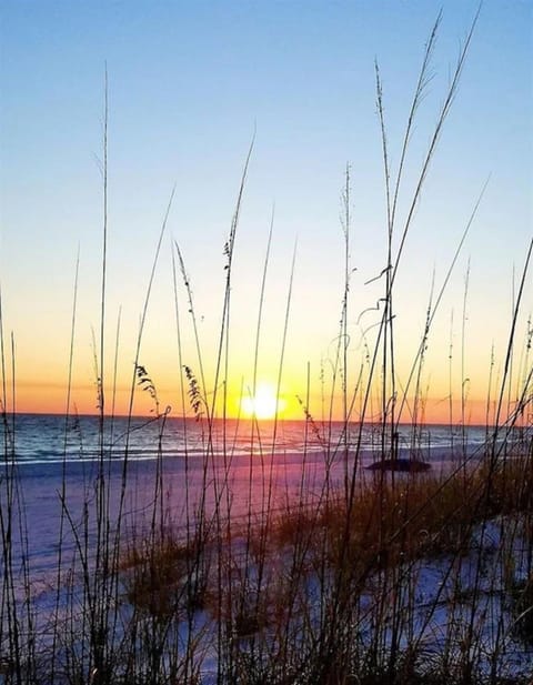 Beach Roost Beach Front Home 7 Br sleeps 20 House in Panama City Beach