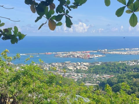 Natural landscape, City view, Sea view