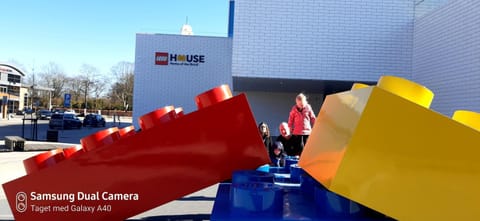 Activities, Area and facilities, Entertainment