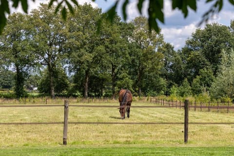 An 't Noordende House in Drenthe (province)