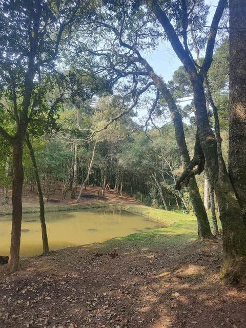 Chácara Le Petit Jardin Luxury tent in São José dos Pinhais