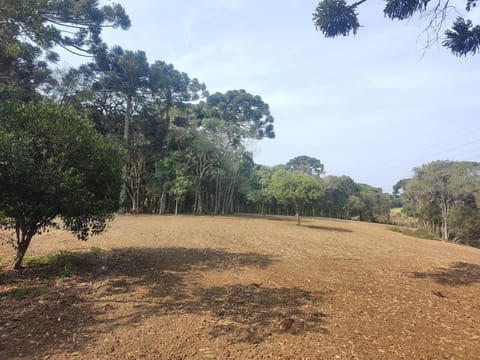 Chácara Le Petit Jardin Luxury tent in São José dos Pinhais