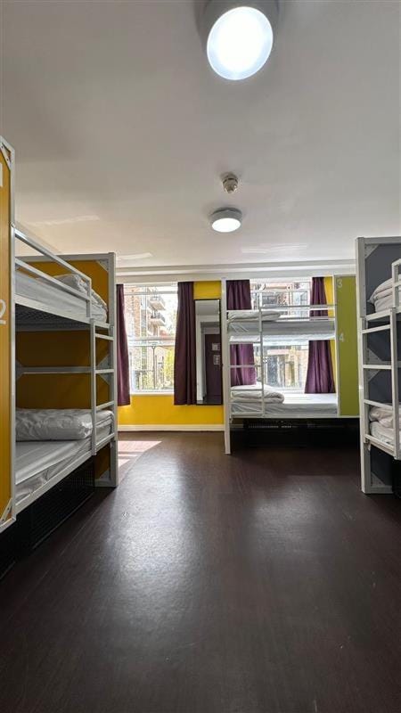 Bed, Photo of the whole room, Bedroom, bunk bed