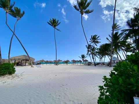 Nearby landmark, Day, Natural landscape, Beach, Sea view