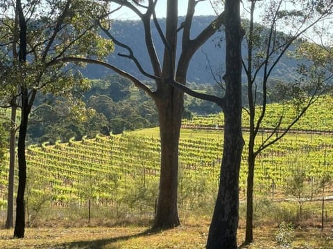 Chardonnay self contained home Wohnung in Mount View